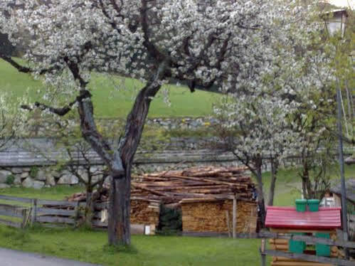 Appartamento Schneiderhof